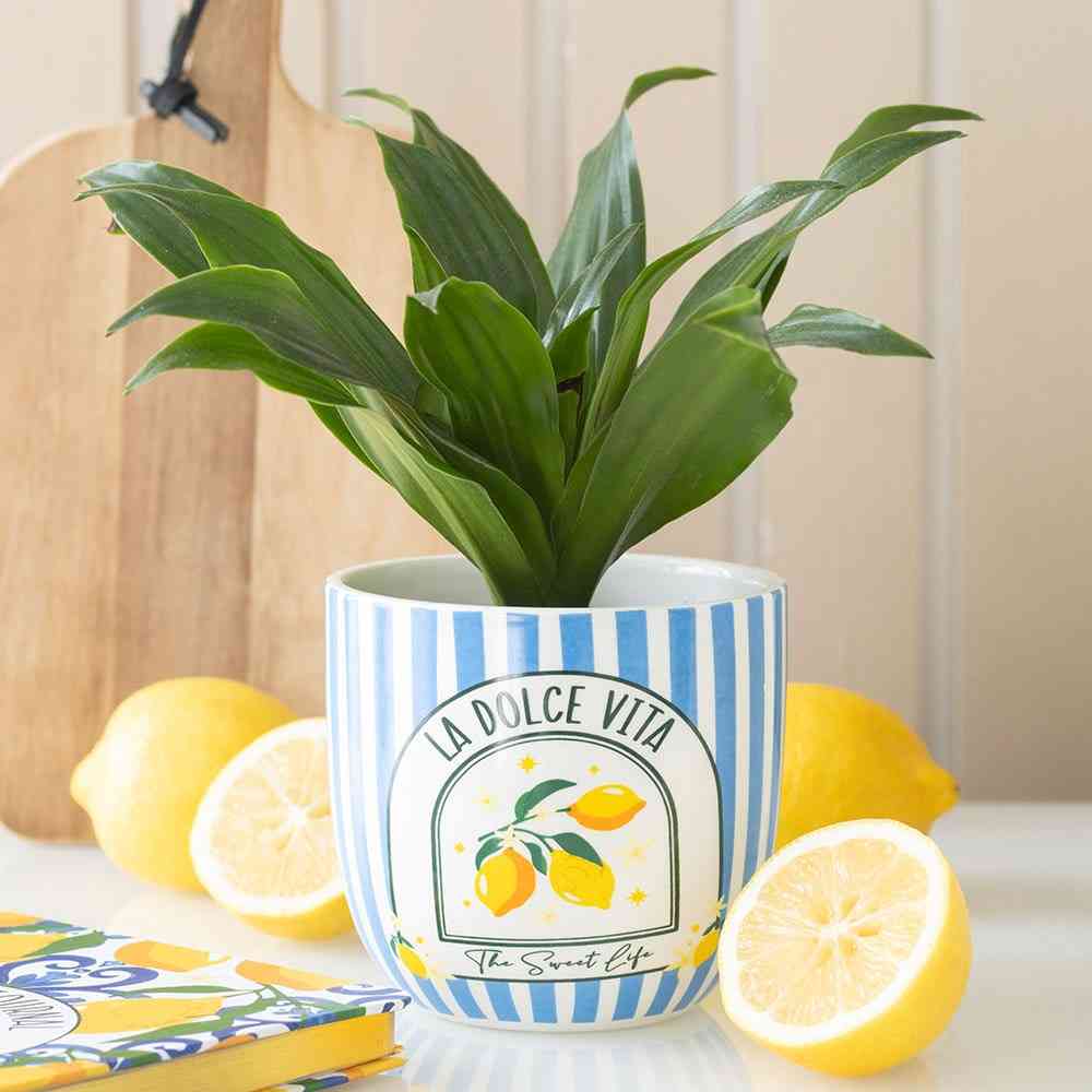 Something Different - Blue Striped La Dolce Vita Pot - Multicolore